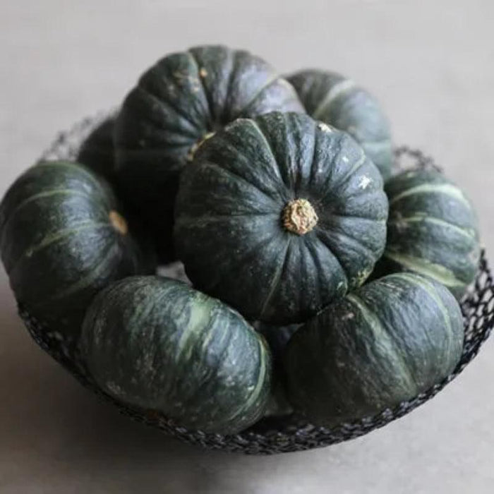 Culinary Pumpkin Seeds