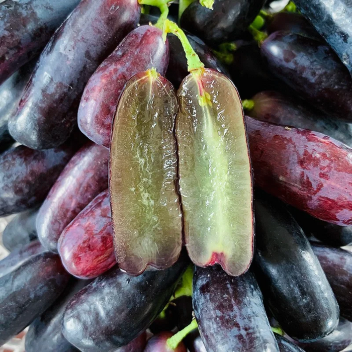 Elongated Sapphire Grape Seeds – Unique Purple Grapes