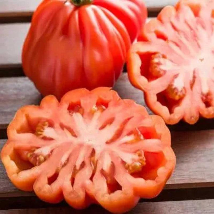 Heirloom Giant Tomato Seeds – Grow Large And Flavorful Tomatoes