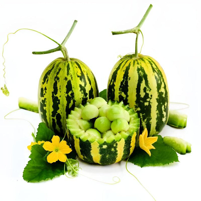 Japanese Tiger Melon Seeds - Sweet Striped And Unique Melons