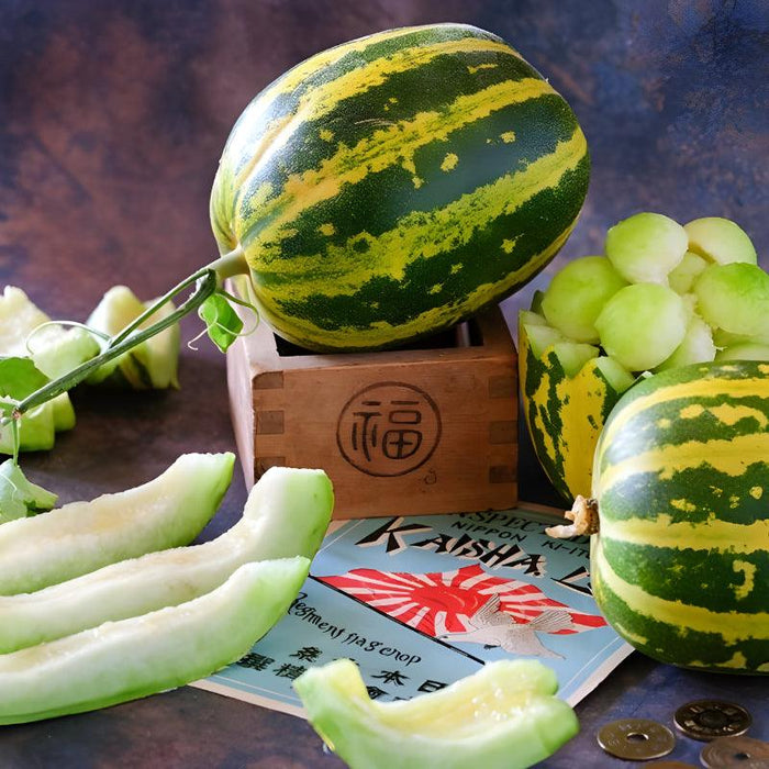 Japanese Tiger Melon Seeds - Sweet Striped And Unique Melons