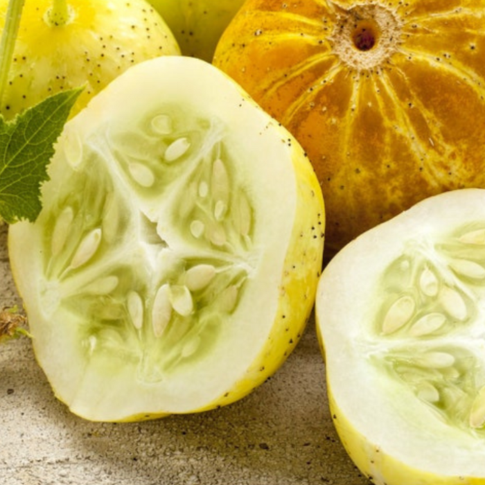 Lemon Cucumber Heirloom Seeds
