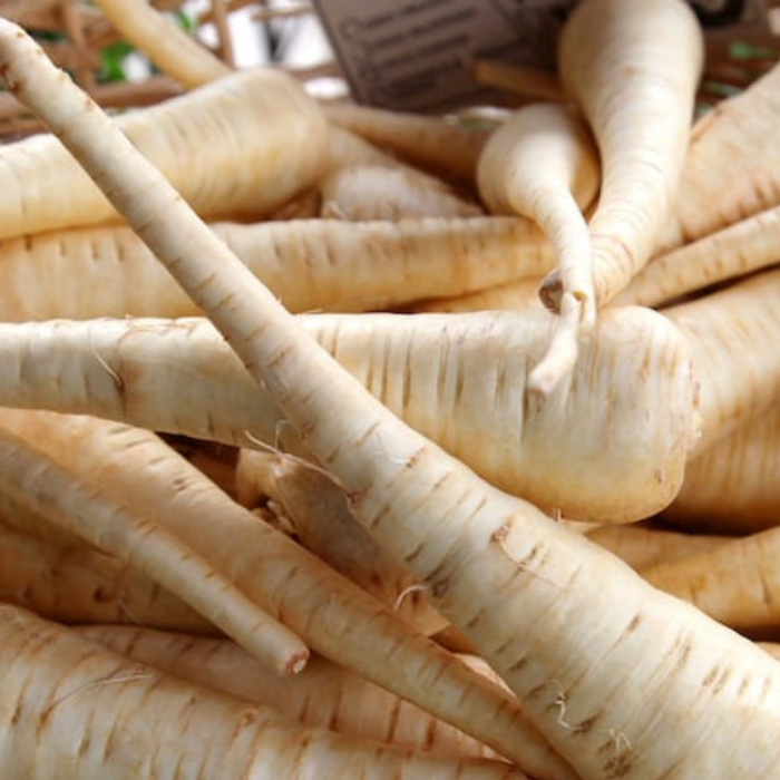 Hollow Crown Parsnip Heirloom Seeds - Non-GMO, Open Pollinated, Untreated, Root Vegetables, Fall Garden