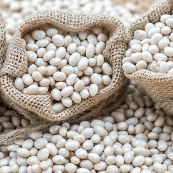 Navy Bean Seeds Heirloom Seeds, Bush Bean, Boston Pea, Soup Bean, Open Pollinated, Untreated, Non-GMO
