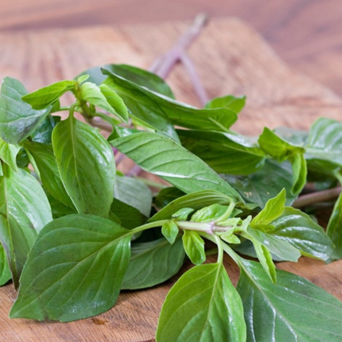 Cinnamon Basil Heirloom Herb Seeds - Culinary Herb, Non-GMO, Open Pollinated