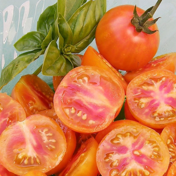 Isis Candy Cherry Tomato Heirloom Seeds