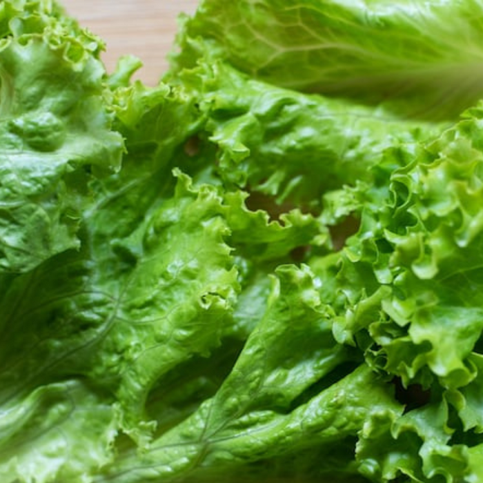 Lettuce Seeds - Heirloom Seeds, Crisp Head Lettuce, Fresh Salad, Open Pollinated, Non-GMO
