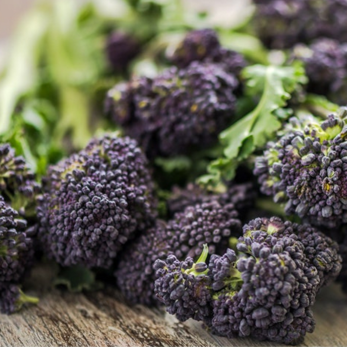 Purple Sprouting Broccoli Seeds - Heirloom, Organic, Non-GMO