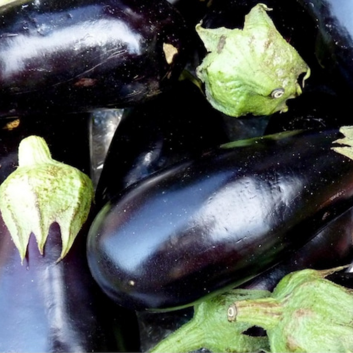 Black Beauty Eggplant Heirloom Seeds