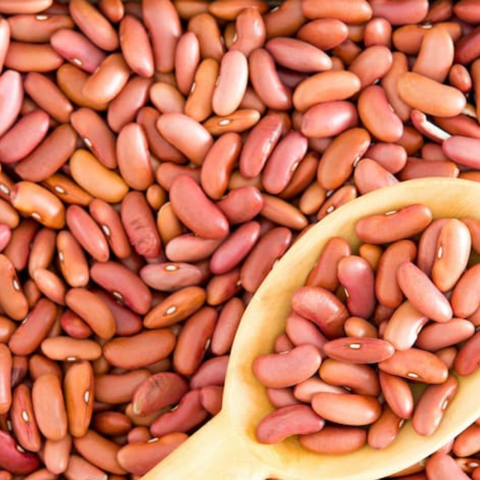 Light Red Kidney Bean Seeds - Heirloom Seeds, Bush Bean, Soup Bean, Chili Bean, Open Pollinated, Untreated, Non-GMO