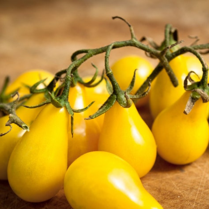 Yellow Pear Cherry Tomato Heirloom Seeds