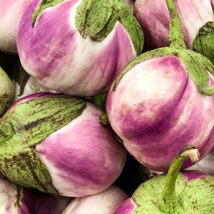 Rosa Bianca Eggplant Seeds - Heirloom Seeds, Pink Eggplant, Heat Tolerant, Open Pollinated, Non-GMO