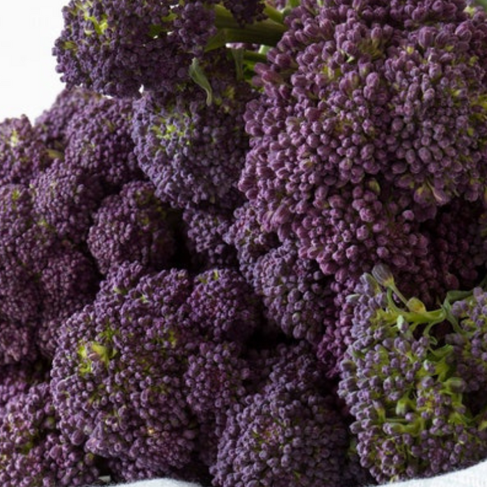 Purple Sprouting Broccoli Seeds - Heirloom, Organic, Non-GMO