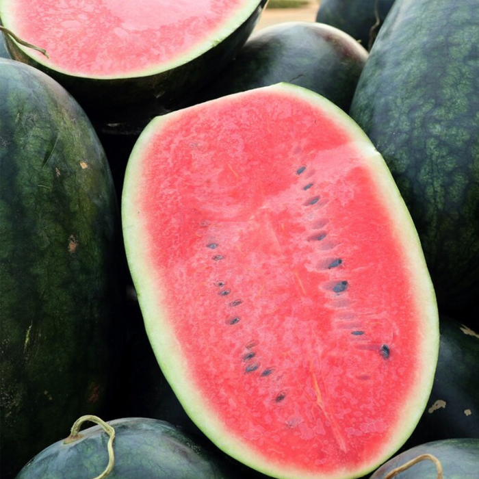 Black Diamond Watermelon Heirloom Seeds