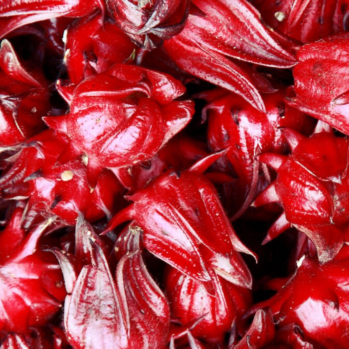 Asian Sour Leaf Roselle Seeds - Red Hibiscus, Heirloom Seeds, Edible Flower, Non-GMO