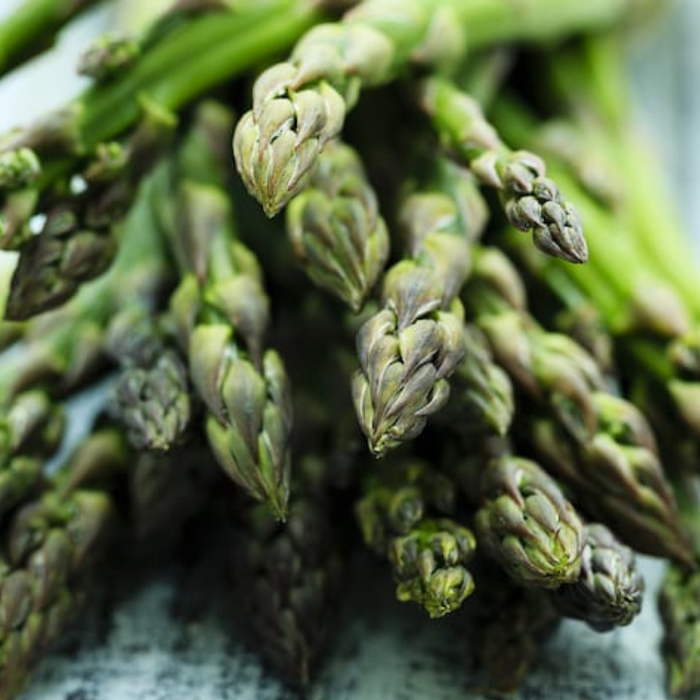 Mary Washington Asparagus Seeds - Heirloom Seeds, Asparagus Seeds, Asparagus Officinalis, Vegetable Seeds, Open Pollinated, Non-GMO