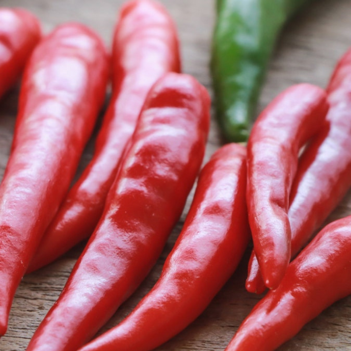 Cayenne Long Thin Hot Pepper Heirloom Seeds - Red Pepper, Salsa Garden, Hot Sauce, Open Pollinated, Non-GMO