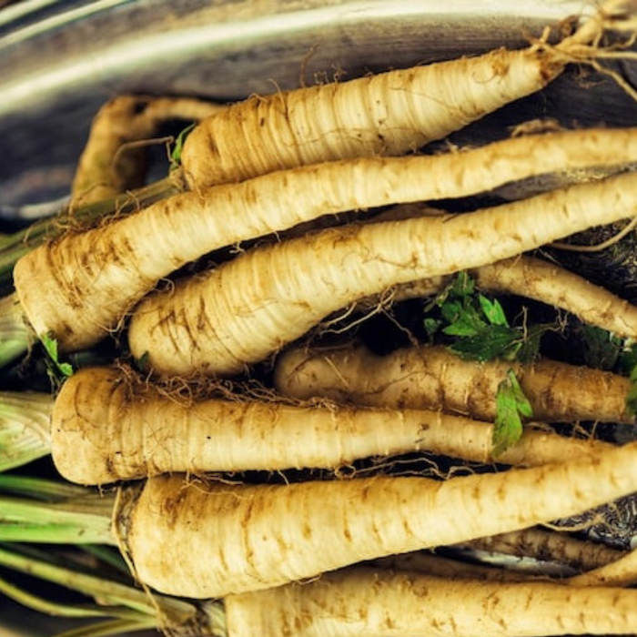 Lunar White Carrot Seeds - Heirloom, Organic, Non-GMO