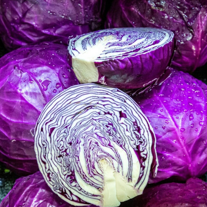 Red Acre Cabbage Seeds - Heirloom Seeds, Microgreens, Sprouting Seeds, Sauerkraut, Coleslaw, Open Pollinated, Non-GMO