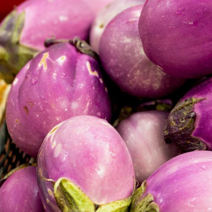 Rosa Bianca Eggplant Seeds - Heirloom Seeds, Pink Eggplant, Heat Tolerant, Open Pollinated, Non-GMO