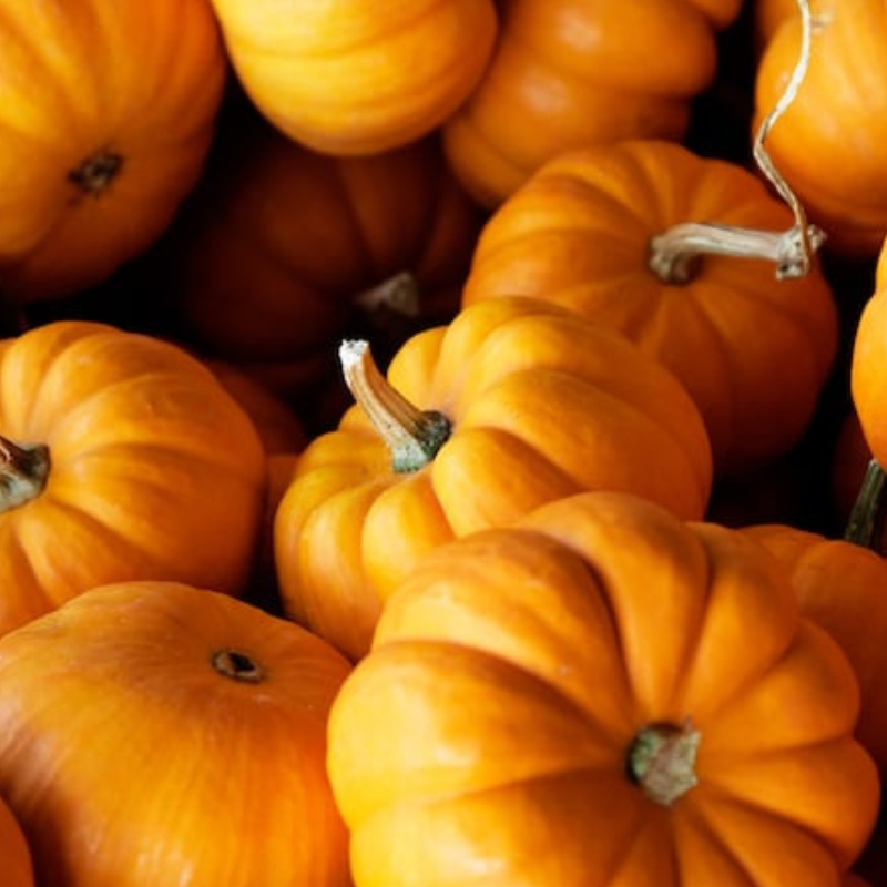 jack-be-little-pumpkin-seeds-heirloom-seeds-decorative-pumpkin-dwa