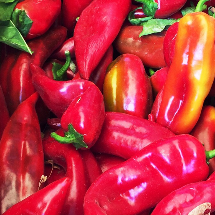 Corno Di Toro Rosso Pepper Heirloom Seeds - Roasted Pepper, Salsa Garden, Open Pollinated, Non-GMO