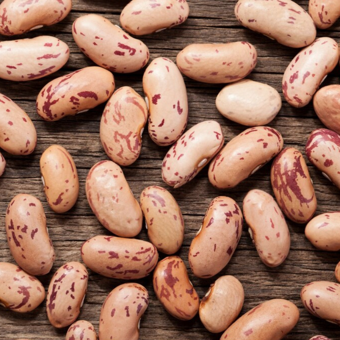 Pinto Bean Seeds - Heirloom Seeds, Runner Bean Seeds, Refried Beans, Soup Bean, Open Pollinated, Untreated, Non-GMO