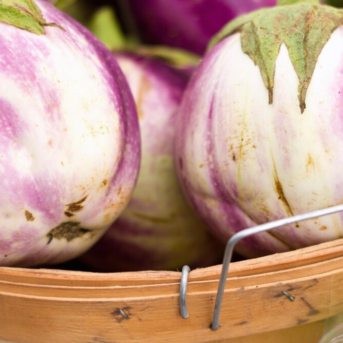 Rosa Bianca Eggplant Seeds - Heirloom Seeds, Pink Eggplant, Heat Tolerant, Open Pollinated, Non-GMO