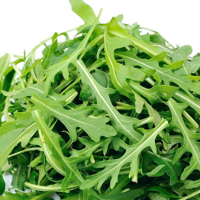 Astro Arugula Seeds - Heirloom Seeds, Fresh Salad, Microgreen Seeds, Container Garden, Cold Hardy, Mustard Greens, Open Pollinated, Non-GMO