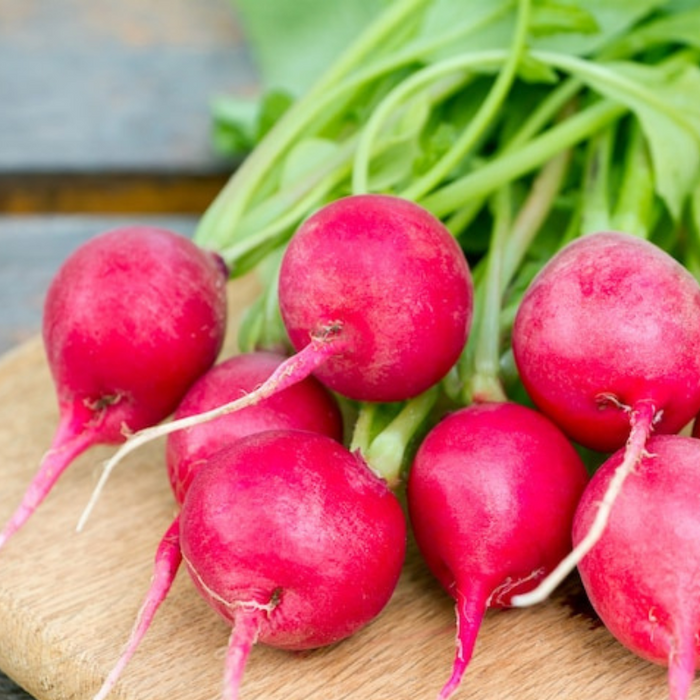 Pink Radish Seeds - Heirloom Seeds, Root Vegetables, Spring & Fall Garden, Salad Greens, Microgreens, Sprouting Seeds, Non-GMO