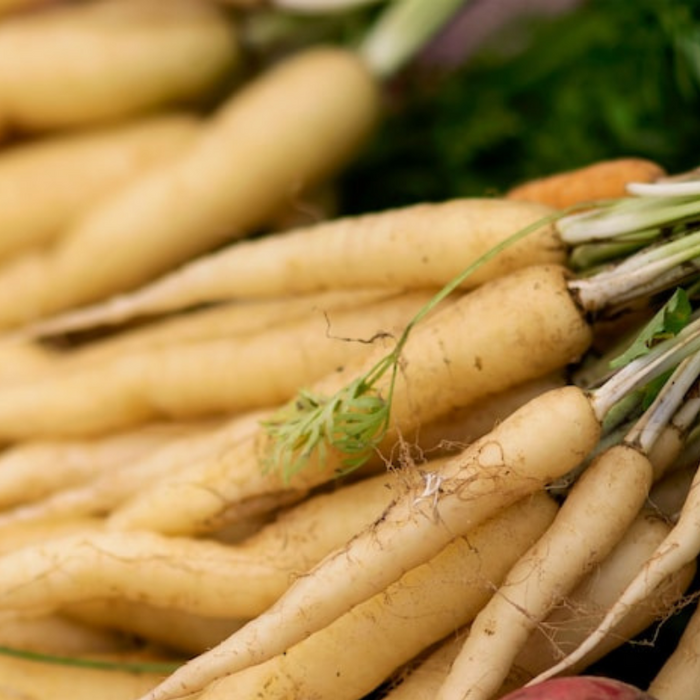 Lunar White Carrot Seeds - Heirloom, Organic, Non-GMO