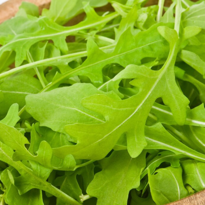 Astro Arugula Seeds - Heirloom Seeds, Fresh Salad, Microgreen Seeds, Container Garden, Cold Hardy, Mustard Greens, Open Pollinated, Non-GMO