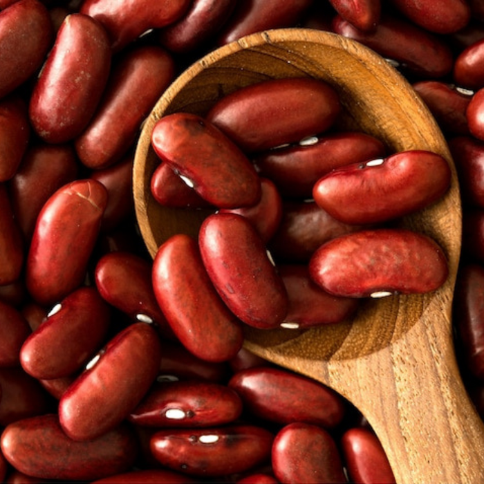 Dark Red Kidney Bean Seeds - Heirloom Seeds, High Yield, Chili Bean, Soup Bean, Open Pollinated, Non-GMO