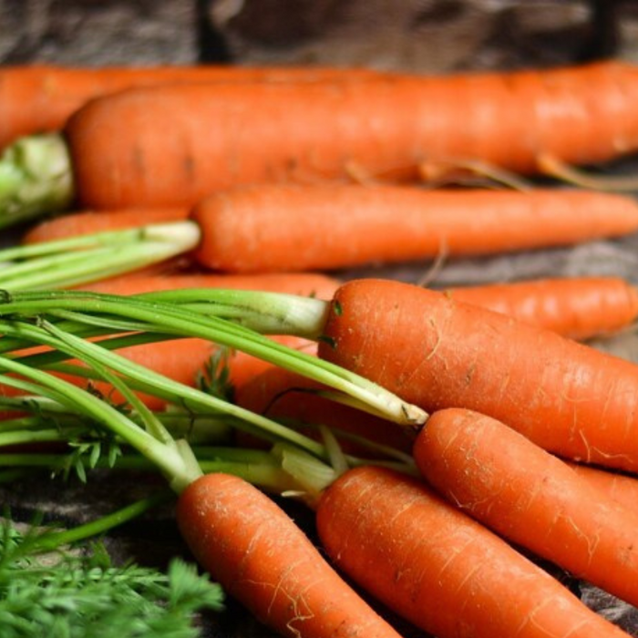 Imperator 58 Carrot Heirloom Seeds - Heirloom, Juicing Carrot, Rainbow Carrot, Antioxidant, Lycopene, Open Pollinated, Non-GMO