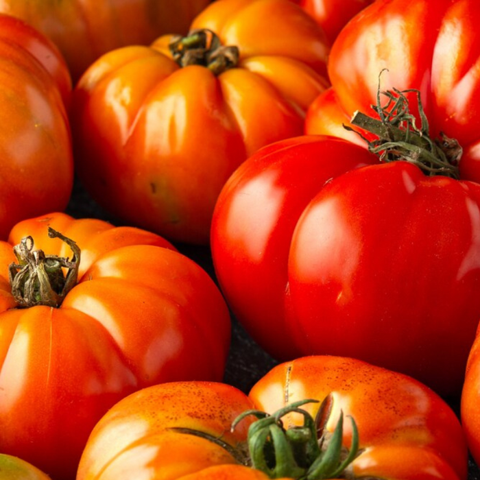 Beefsteak Tomato Heirloom Seeds - Slicing Tomato, Indeterminate, Open Pollinated, Non-GMO