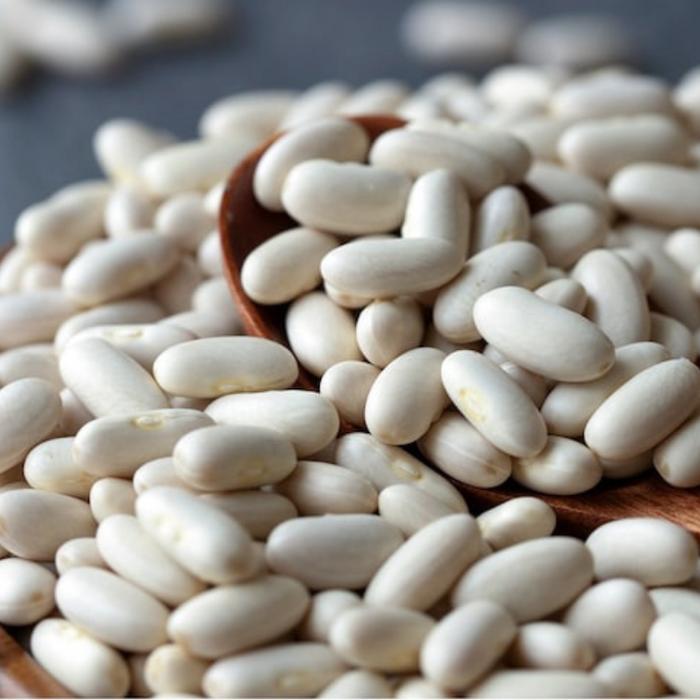 Bean Seeds - Heirloom Seeds, Bush Bean, Soup Bean, White Kidney Bean, Open Pollinated, Untreated, Non-GMO