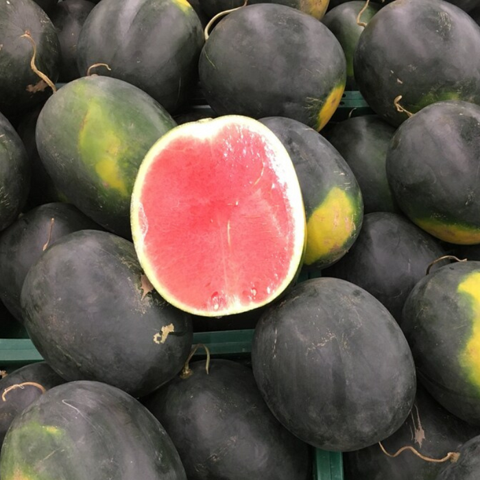 Black Diamond Watermelon Seeds – Heirloom, Sweet And High Yield