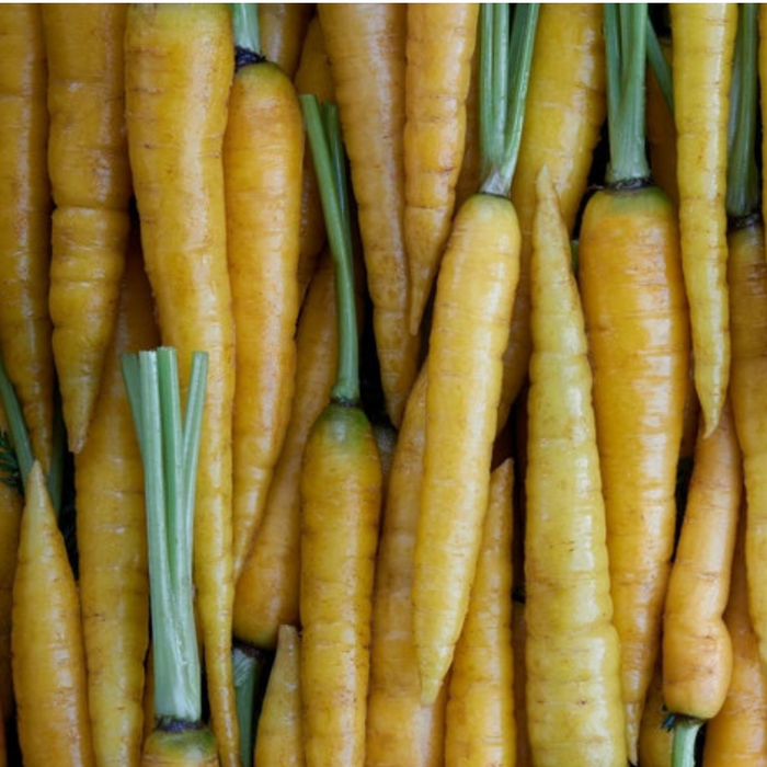 Yellow Carrot Heirloom Seeds - Heirloom, Colored Carrots, Rainbow Carrot, Antioxidant, Lycopene, Open Pollinated, Non-GMO