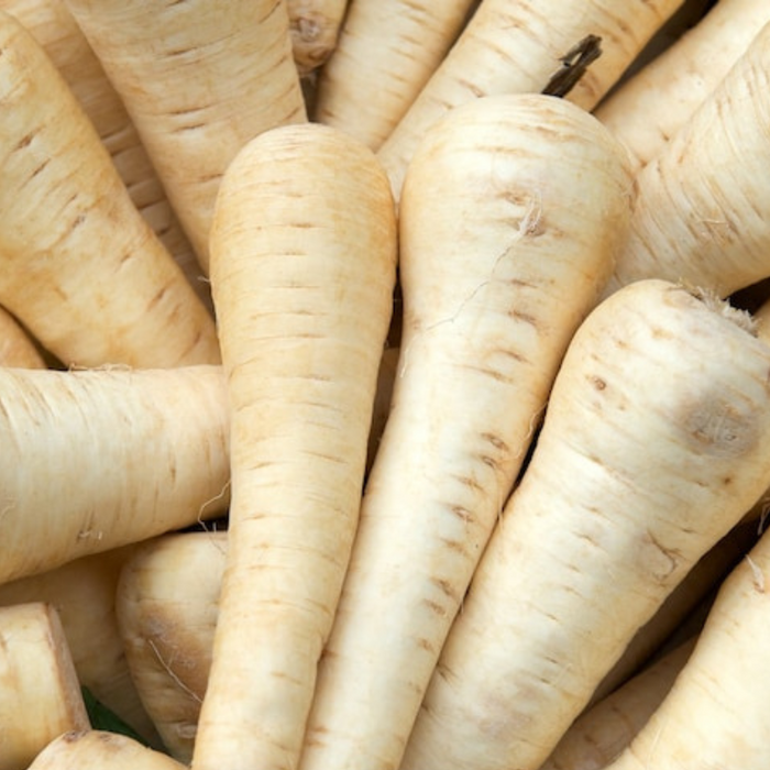 Hollow Crown Parsnip Heirloom Seeds - Non-GMO, Open Pollinated, Untreated, Root Vegetables, Fall Garden