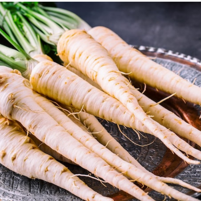 Hollow Crown Parsnip Heirloom Seeds - Non-GMO, Open Pollinated, Untreated, Root Vegetables, Fall Garden