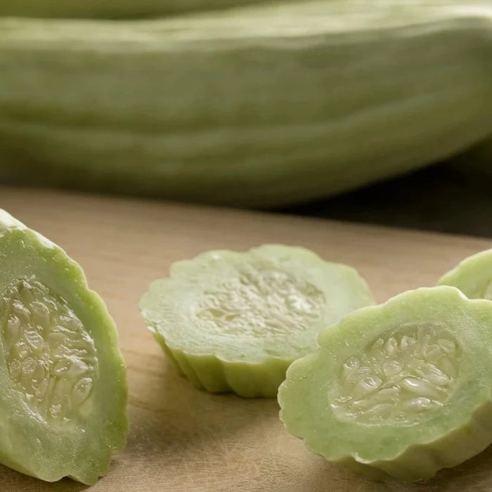 Pale Green Burpless Cucumber Seeds - Heirloom, Organic, Non-GMO, Serpent Cucumber, Slicing Cucumber