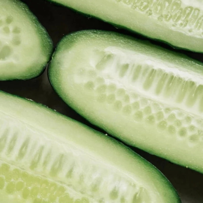 Cucumber Seeds - Heirloom, Vining, Pickling Cucumber, Open Pollinated, Non-GMO