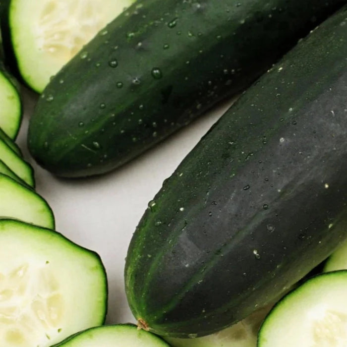 Cucumber Seeds - Heirloom, Vining, Pickling Cucumber, Open Pollinated, Non-GMO