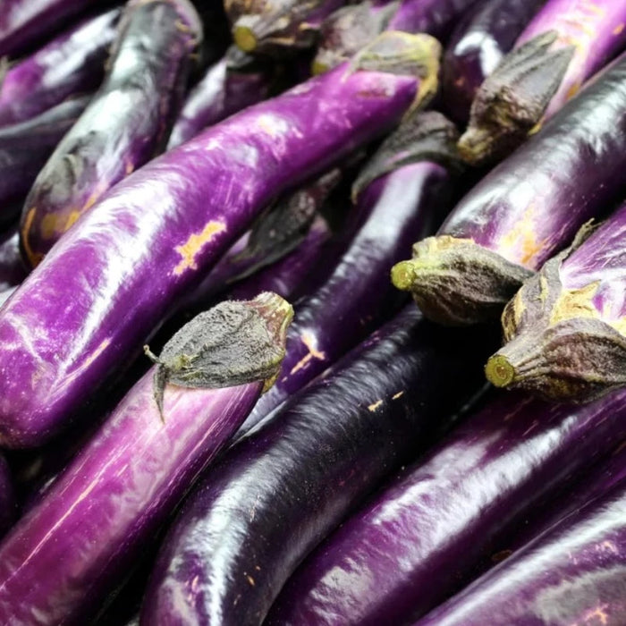 Long Purple Eggplant Seeds - Heirloom Seeds, Asian Heirloom, Open Pollinated, Non-GMO