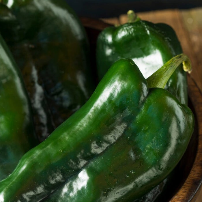 Poblano Ancho Hot Pepper Heirloom Seeds - Chili Rellenos, Mole Poblano, Chili Powder, Roasted Pepper, OP, Non-GMO