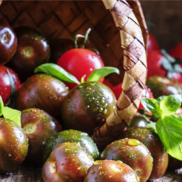 Black Cherry Tomato Seeds - Heirloom, Cherry Tomato, Indeterminate, High Yield, Bruschetta, Container Garden, Black Tomato, OP, Non-GMO