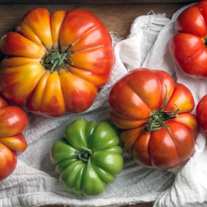 Hillbilly Tomato Seeds - Heirloom Seeds, Slicing Tomato, Indeterminate Tomato, Multicolor Tomato, Low Acid Tomato, Open Pollinated, Non-GMO