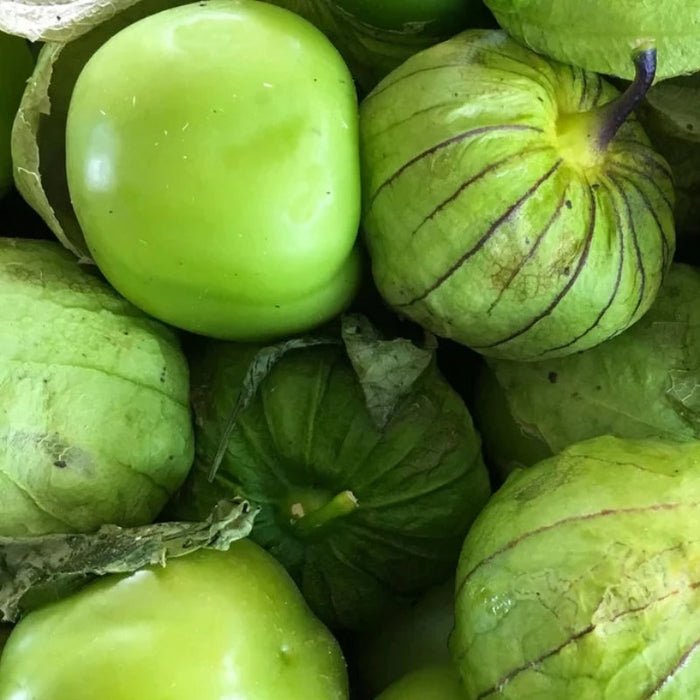 Tomatillo Verde Heirloom Seeds - Chinese Lantern, Salsa Verde, Canning Tomato, Green Flesh, Open Pollinated, Non-GMO
