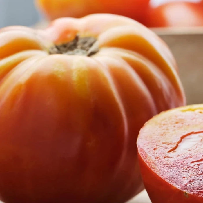 Mr. Stripey Tomato Seeds - Heirloom Seeds, High Sugar, Low Acid, Indeterminate, Open Pollinated, Non-GMO
