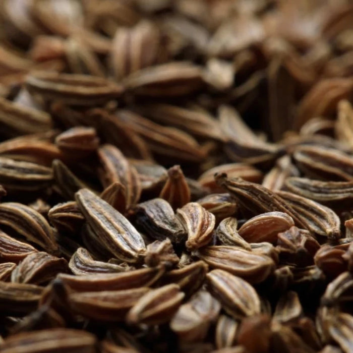 Caraway Herb Seeds - Heirloom Seeds, Herb, Culinary Herb, Persian Cumin, Meridian Fennel, Beneficial Bug, Open Pollinated, Non-GMO